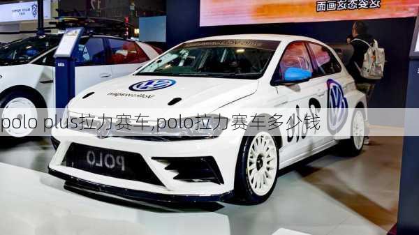 polo plus拉力赛车,polo拉力赛车多少钱