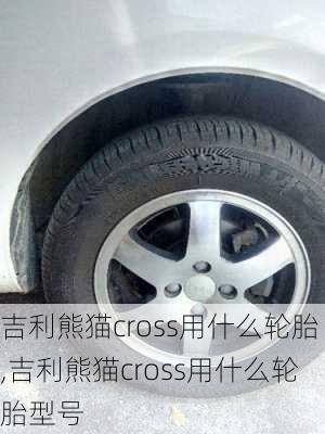 吉利熊猫cross用什么轮胎,吉利熊猫cross用什么轮胎型号