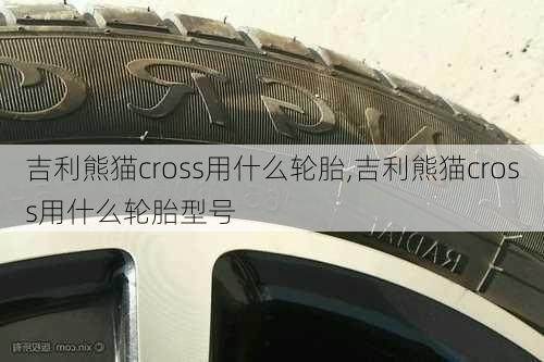 吉利熊猫cross用什么轮胎,吉利熊猫cross用什么轮胎型号