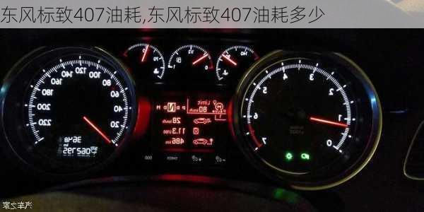 东风标致407油耗,东风标致407油耗多少