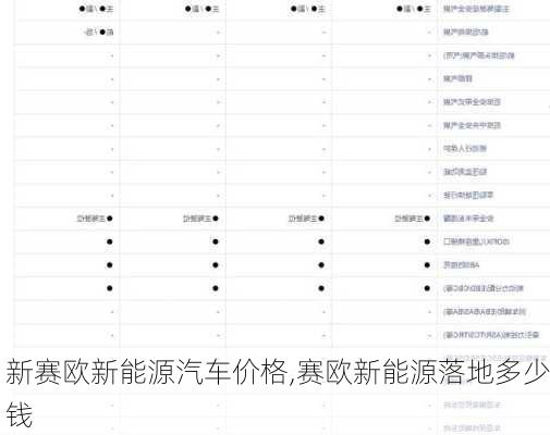 新赛欧新能源汽车价格,赛欧新能源落地多少钱