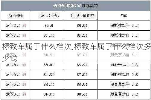 标致车属于什么档次,标致车属于什么档次多少钱