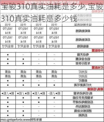 宝骏310真实油耗是多少,宝骏310真实油耗是多少钱