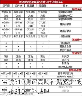 宝骏310测评高龄补贴多少钱,宝骏310有补贴吗