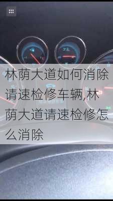 林荫大道如何消除请速检修车辆,林荫大道请速检修怎么消除