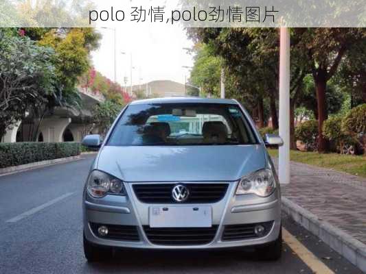 polo 劲情,polo劲情图片