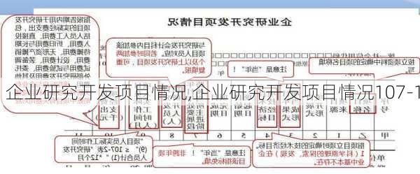 企业研究开发项目情况,企业研究开发项目情况107-1