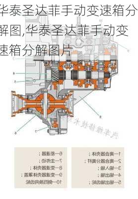 华泰圣达菲手动变速箱分解图,华泰圣达菲手动变速箱分解图片