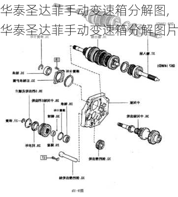 华泰圣达菲手动变速箱分解图,华泰圣达菲手动变速箱分解图片