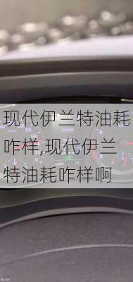 现代伊兰特油耗咋样,现代伊兰特油耗咋样啊