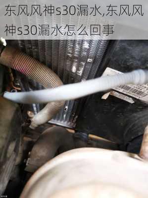 东风风神s30漏水,东风风神s30漏水怎么回事