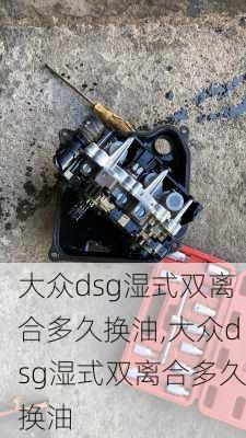 大众dsg湿式双离合多久换油,大众dsg湿式双离合多久换油