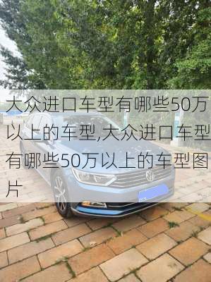 大众进口车型有哪些50万以上的车型,大众进口车型有哪些50万以上的车型图片