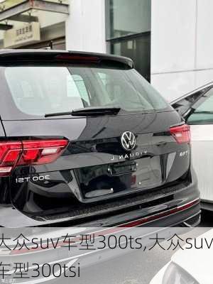 大众suv车型300ts,大众suv车型300tsi