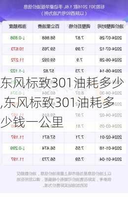 东风标致301油耗多少,东风标致301油耗多少钱一公里