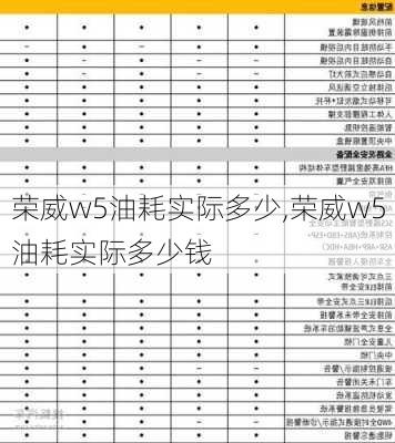 荣威w5油耗实际多少,荣威w5油耗实际多少钱