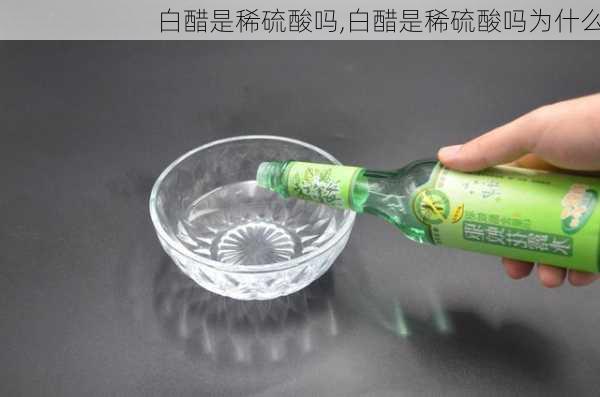 白醋是稀硫酸吗,白醋是稀硫酸吗为什么