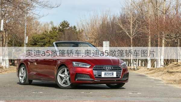 奥迪a5敞篷轿车,奥迪a5敞篷轿车图片