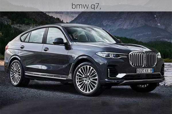 bmw q7,