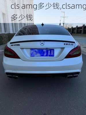 cls amg多少钱,clsamg多少钱