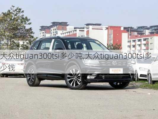 大众tiguan300tsi多少吨,大众tiguan300tsi多少钱