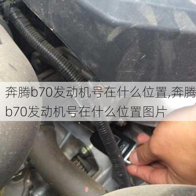 奔腾b70发动机号在什么位置,奔腾b70发动机号在什么位置图片