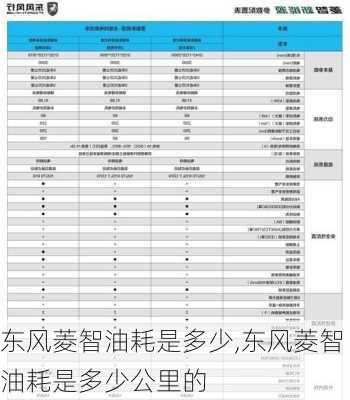 东风菱智油耗是多少,东风菱智油耗是多少公里的