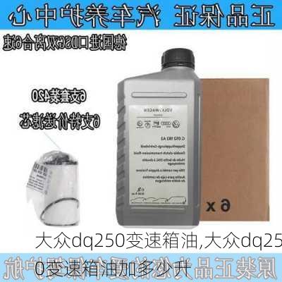 大众dq250变速箱油,大众dq250变速箱油加多少升