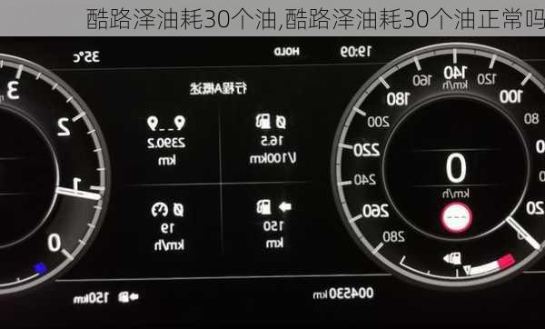 酷路泽油耗30个油,酷路泽油耗30个油正常吗