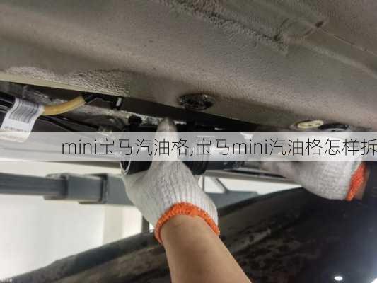 mini宝马汽油格,宝马mini汽油格怎样拆