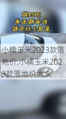 小糯玉米2023款落地价,小糯玉米2023款落地价大众