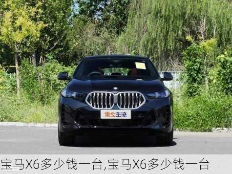 宝马X6多少钱一台,宝马X6多少钱一台