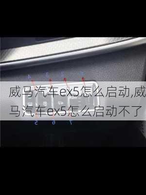 威马汽车ex5怎么启动,威马汽车ex5怎么启动不了