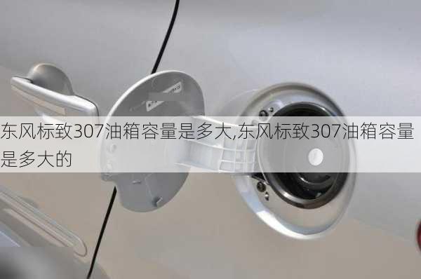 东风标致307油箱容量是多大,东风标致307油箱容量是多大的