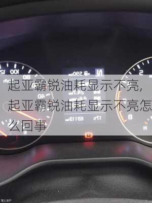 起亚霸锐油耗显示不亮,起亚霸锐油耗显示不亮怎么回事