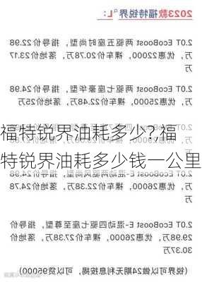 福特锐界油耗多少?,福特锐界油耗多少钱一公里