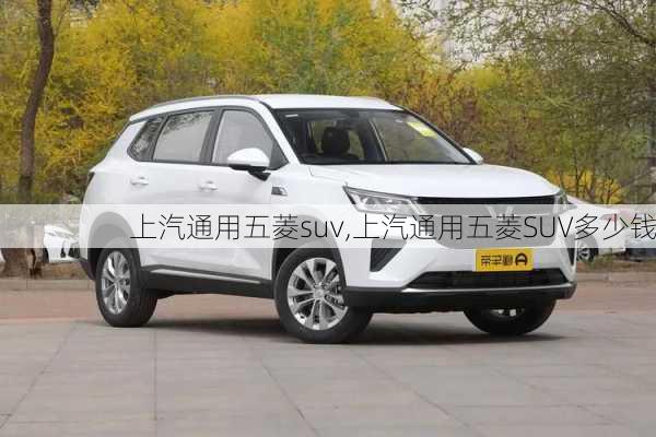 上汽通用五菱suv,上汽通用五菱SUV多少钱