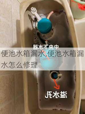 便池水箱漏水,便池水箱漏水怎么修理