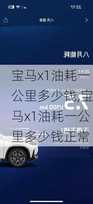 宝马x1油耗一公里多少钱,宝马x1油耗一公里多少钱正常