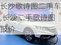 长沙歌诗图二手车,长沙二手歌诗图报价