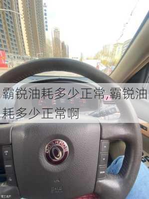 霸锐油耗多少正常,霸锐油耗多少正常啊