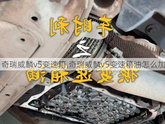 奇瑞威麟v5变速箱,奇瑞威麟v5变速箱油怎么加