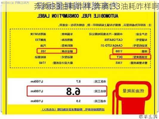 奔腾t33油耗咋样,奔腾t33油耗咋样啊