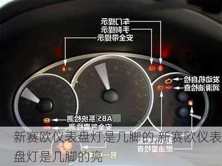 新赛欧仪表盘灯是几脚的,新赛欧仪表盘灯是几脚的亮