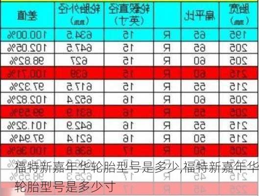 福特新嘉年华轮胎型号是多少,福特新嘉年华轮胎型号是多少寸