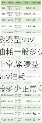 紧凑型suv油耗一般多少正常,紧凑型suv油耗一般多少正常啊