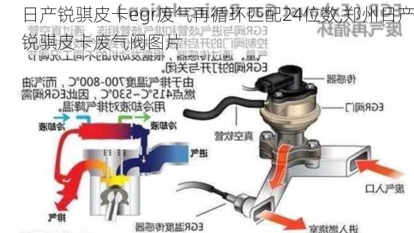 日产锐骐皮卡egr废气再循环匹配24位数,郑州日产锐骐皮卡废气阀图片