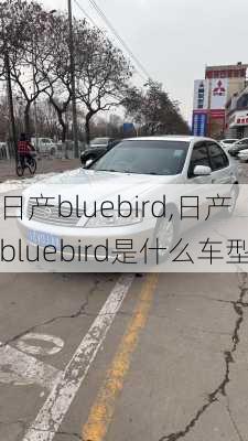 日产bluebird,日产bluebird是什么车型