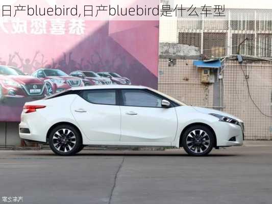 日产bluebird,日产bluebird是什么车型