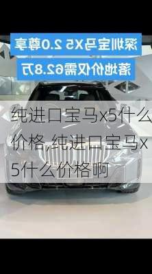 纯进口宝马x5什么价格,纯进口宝马x5什么价格啊